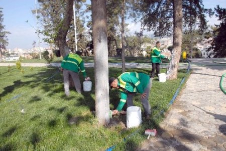Belediye Atatürk Bulvarı'nda bakım yapıyor