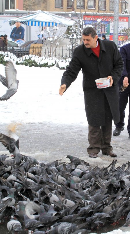 Belediye Başkanı Akın Kar Altındaki Güvercinleri Yemledi