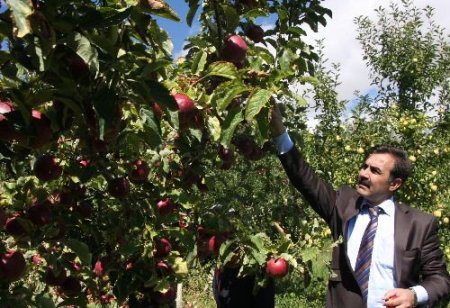 Belediye Başkanı Çoban: Ahlat Elmasını Marka Haline Getireceğiz