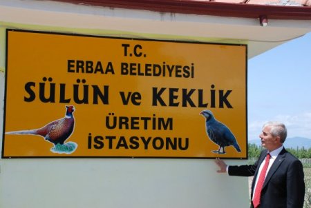 Belediye Başkanı Yenihan: Keneyle Mücadelemiz 6 Yıldır Devam Ediyor