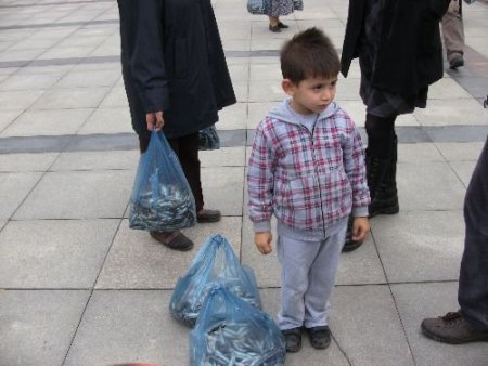 Belediye Önünde 'bedava Hamsi' Kuyruğu