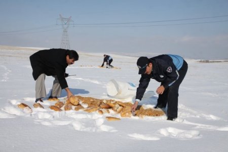 Belediyeden Aç Kalan Yaban Hayvanlarına Yiyecek Desteği