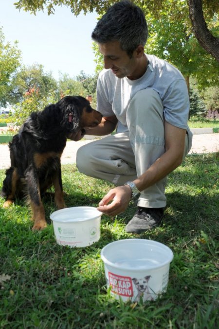 Belediyeler, sahipsiz hayvanlar için sokaklara su kapları koyuyor