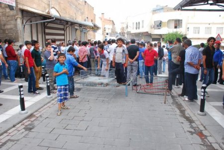 Belediye’nin güzergâh değişikliği esnafa kepenk kapattırdı