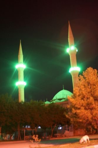 Belediyenin Sinek İlacı İmamı Ve Cami Cemaatini Zehirledi