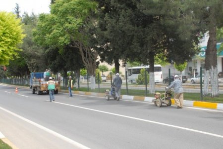 Belediyenin Yeşil Alan Ve Kaldırım Çalışmaları Sürüyor