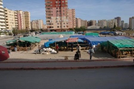 Belirlenen Yerlerin Dışında Kurban Satışı Ve Kesimi Yapılmayacak