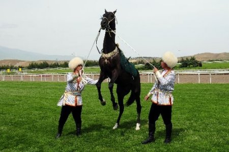 Berdimuhamedov, Ahal Teke atıyla şov yaptı
