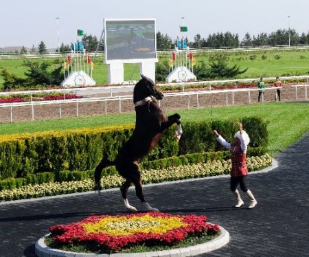 Berdimuhamedov, Ahal Teke atıyla şov yaptı