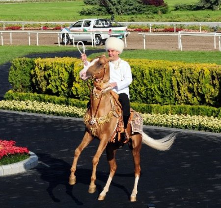 Berdimuhamedov, Ahal Teke atıyla şov yaptı