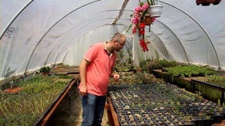 Bereket ailesinin kaktüs sevdası 'bereket' getirdi