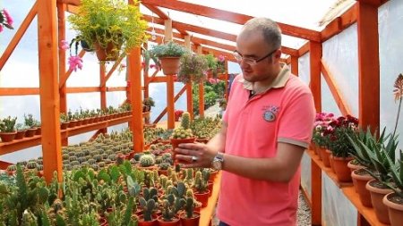 Bereket ailesinin kaktüs sevdası 'bereket' getirdi