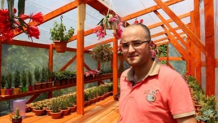 Bereket ailesinin kaktüs sevdası 'bereket' getirdi