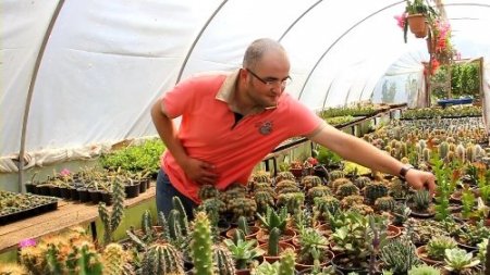 Bereket ailesinin kaktüs sevdası 'bereket' getirdi