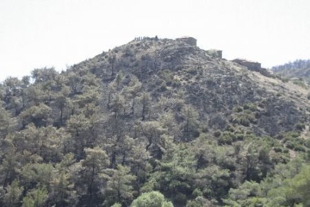 Bergama'daki Yılın En Büyük Orman Yangını Kontrol Altına Alındı