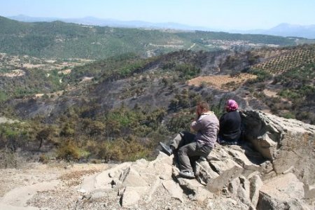 Bergama'daki Yılın En Büyük Orman Yangını Kontrol Altına Alındı