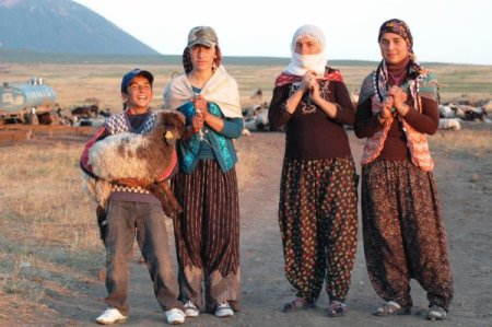 Berivanlar Nemrut Dağı eteğindeki koyunlarını sağmak için beş saat yürüyor