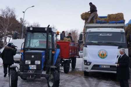 Besicilere, ithal ot dağıtımına başlandı