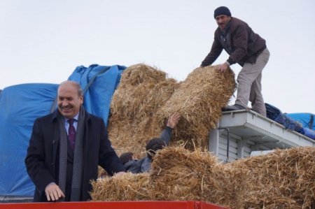 Besicilere, ithal ot dağıtımına başlandı