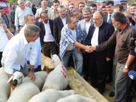 Beşir Atalay: Suriye'de silahların susması memnuniyet verici