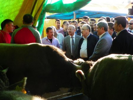 Beşir Atalay: Suriye'de silahların susması memnuniyet verici