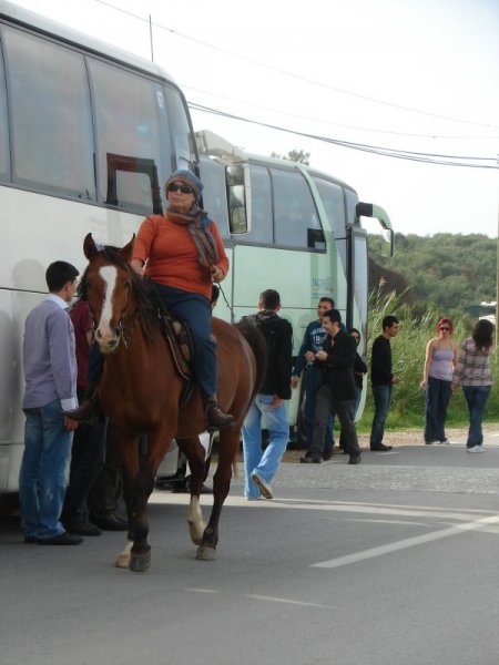 Beşir Esad'ın Kendi Halkına Silah Kullanması Anadolu Turlarını Bitirdi