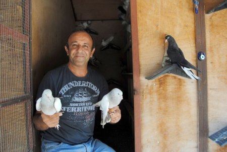 Beslediği güvercinleri, Ecevit'in özel günlerinde özgürlüğüne kavuşturuyor