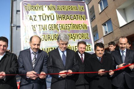 Beyaz altın kaz tüyünün Avrupa’ya ilk ihracatı gerçekleştirildi