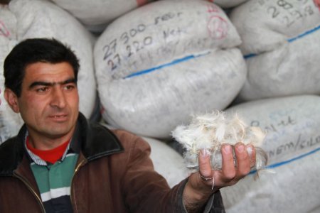 Beyaz altın kaz tüyünün Avrupa’ya ilk ihracatı gerçekleştirildi