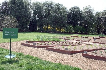 Beyaz Saray kapıları 2 günlüğüne halka açıldı