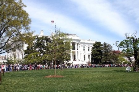 Beyaz Saray kapıları 2 günlüğüne halka açıldı
