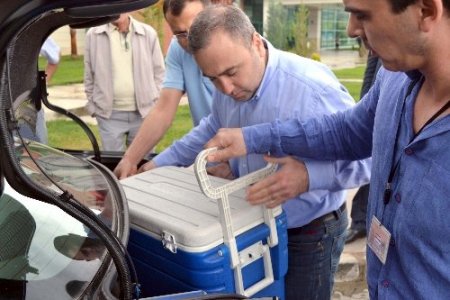 Beyin kanamasından hayatını kaybeden kadının organları 3 kişiye umut oldu