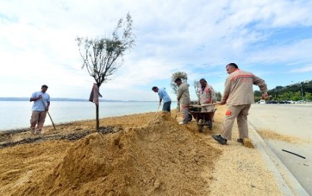 Beylikdüzü, Türkiye Tekerlekli Kayak Şampiyonası’na hazırlanıyor