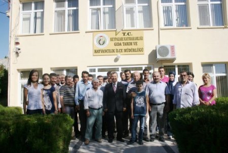 Beypazarı’nda yetiştiricilere gebe düve dağıtıldı