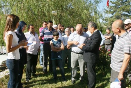 Beypazarı’nda yetiştiricilere gebe düve dağıtıldı