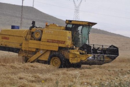 Biçerdöverler Yağmur Nedeniyle Hasadı Yarım Bıraktı