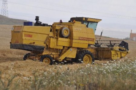 Biçerdöverler Yağmur Nedeniyle Hasadı Yarım Bıraktı