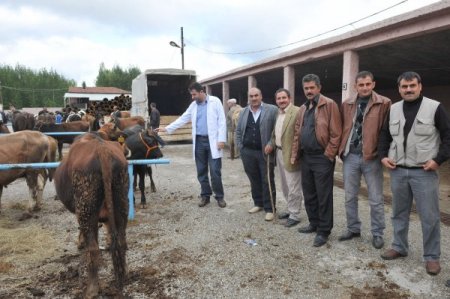 Bilecik'te kurbanlık pazarı kontrol altında