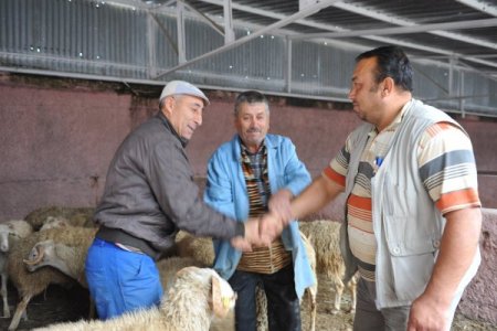 Bilecik'te kurbanlık pazarı kontrol altında