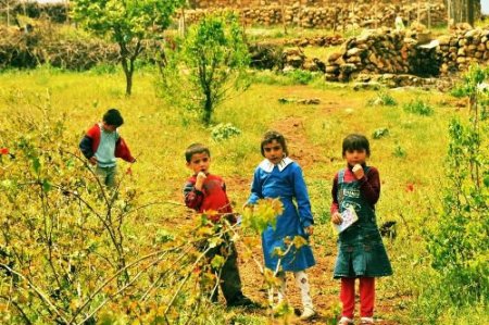 Bilge Köyü'ndeki Aş Evi Kapandı, Yetim Çocuklar Yemeksiz Kaldı