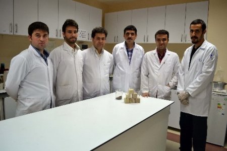 Bilim adamları odunun suyunu çıkardı