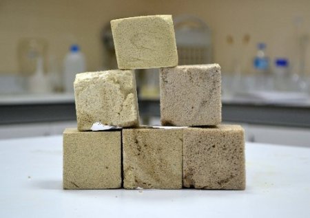 Bilim adamları odunun suyunu çıkardı