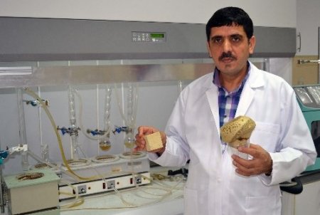 Bilim adamları odunun suyunu çıkardı