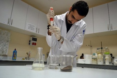 Bilim adamları odunun suyunu çıkardı