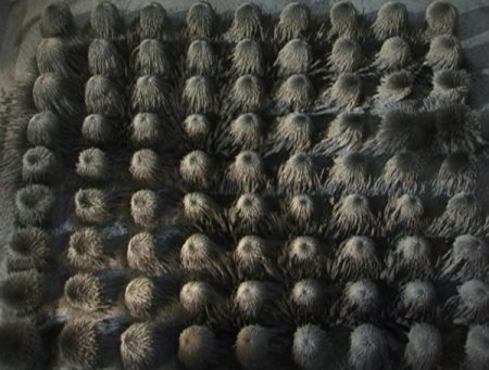 Bilim Festivalinde Tozlar Dans Etti