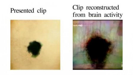 Bilim İnsanları Düşünceyi ‘görüntüledi’