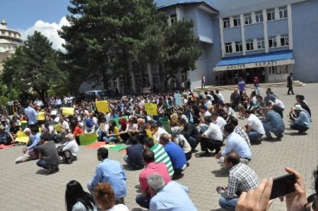 Bingöl'deki olaya STK'lar tepki gösterdi