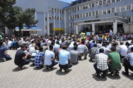 Bingöl'deki olaya STK'lar tepki gösterdi