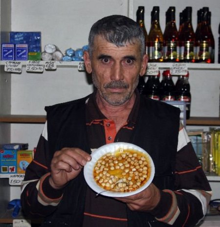 Bir Haberden Etkilendi, Donmayan Bal Üretti