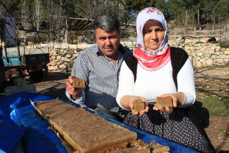 Bir zamanlar dağda çürüyen defne ağacı köylünün geçim kaynağı oldu